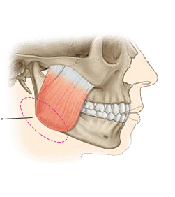 1490778562-3558493981